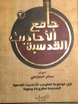 عرض الصورة